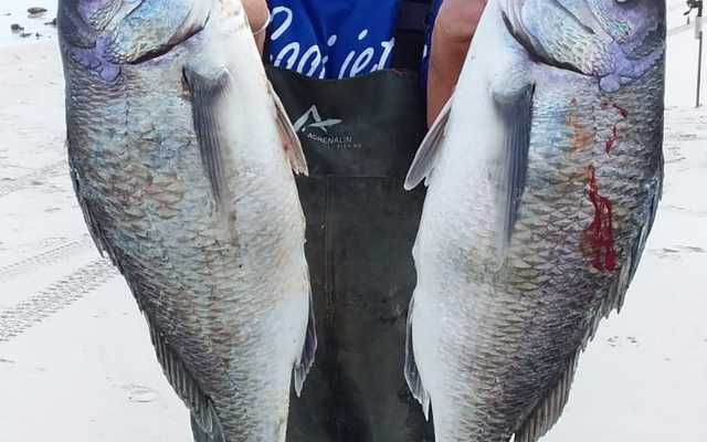 Oubaas_with_Steenbras_1602843615