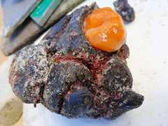 Fishing around Gansbaai with Oubaas Lesch - Top Bait Selection