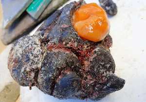 Fishing around Gansbaai with Oubaas Lesch - Top Bait Selection