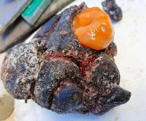 Fishing around Gansbaai with Oubaas Lesch - Top Bait Selection