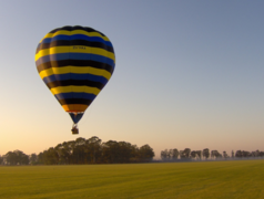 Questioning life requires bravery!