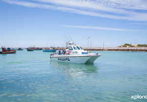 Next Boat Angling Trip - 24 October 2020