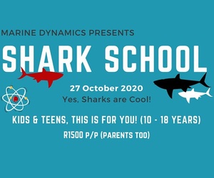 Shark School - 27 October 2020