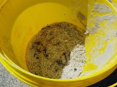 GANSBAAIERS URGED TO JOIN NURDLE CLEAN-UP