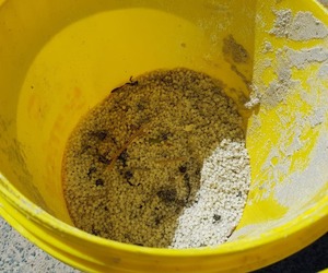 GANSBAAIERS URGED TO JOIN NURDLE CLEAN-UP