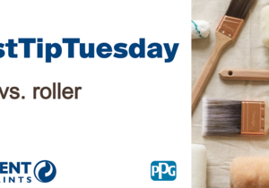 #FastTipTuesday - Brush vs. Roller