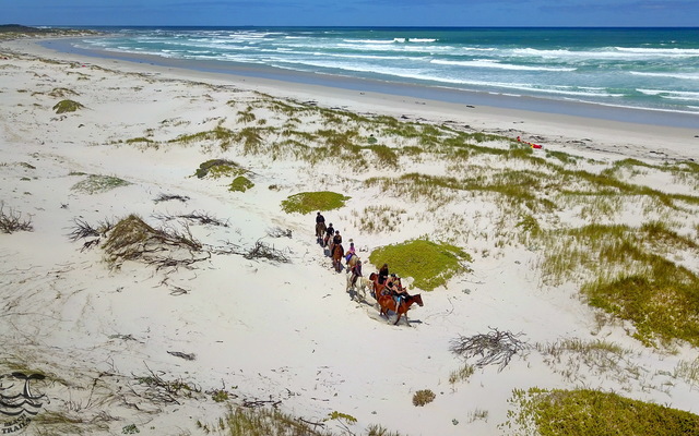 Gansbaai & Pearly Beach Horse Trails