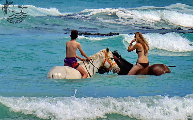 Gansbaai & Pearly Beach Horse Trails