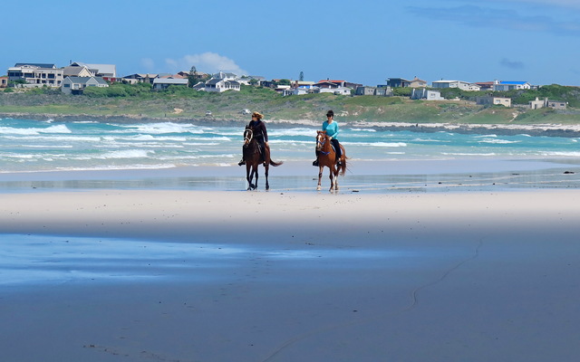 Gansbaai & Pearly Beach Horse Trails