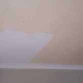 Paint Work in Gordon's Bay - Boland Waterproofing - Pringle Bay