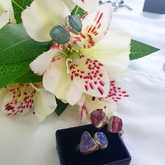 Rings - Tanzanites and Diamonds of Hermanus - Hermanus