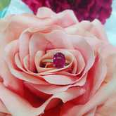 Ring - Tanzanites and Diamonds of Hermanus - Hermanus