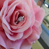 Ring - Tanzanites and Diamonds of Hermanus - Hermanus