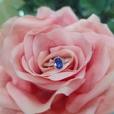 Ring - Tanzanites and Diamonds of Hermanus - Hermanus