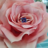 Ring - Tanzanites and Diamonds of Hermanus - Hermanus