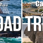 The Cattle Baron Road Trip! - Cattle Baron Grill & Bistro - Hermanus The Cattle Baron Road Trip! - Cattle Baron Grill & Bistro - Hermanus