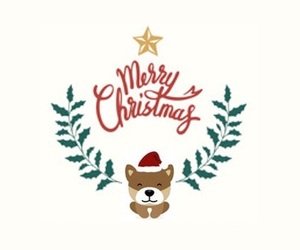 SAWS Christmas Table - 5 December 2020