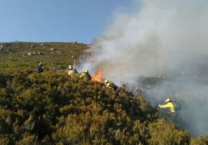 How to protect your home from a wildfire