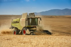 untitled_7165_1606905444