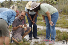 04._Sandberg_Fynbos_Reserve_22.12.18_CAPECLICK_1__1606915391