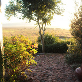 Gansbaai - Sandberg Fynbos Reserve 