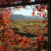 Gansbaai - Sandberg Fynbos Reserve - View North