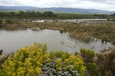 The_swimming_dam_at_Sandberg_2_1606977879