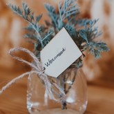 Xplorio™ Gansbaai - i-MED Africa - Wormwood