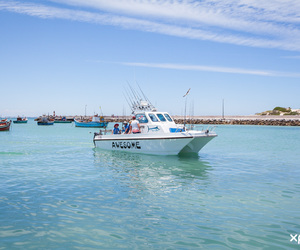 Next Boat Angling Trip - 12 December 2020