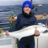 Xplorio™ Struisbaai - Awesome Charters - The Fish Are Here!