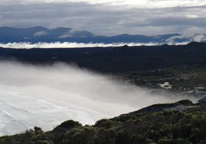 Embrace Change - Weekly Inspiration