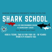 Shark School: 19 & 23 December 2020 and 6 January 2021