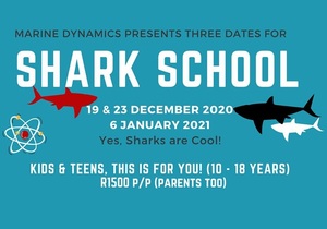 Shark School: 19 & 23 December 2020 and 6 January 2021