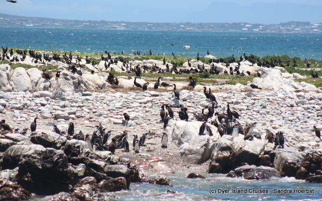 20201213_DC_Trip1_SandraHoerbst_40JPG_1608020639 20201213_DC_Trip1_SandraHoerbst_40JPG_1608020639