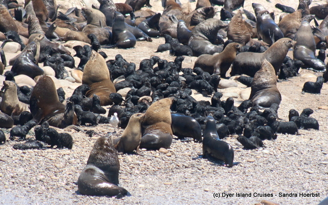 20201213_DC_Trip1_SandraHoerbst_55JPG_1608020640 20201213_DC_Trip1_SandraHoerbst_55JPG_1608020640