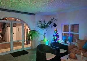 Bellamente is ready for Christmas!