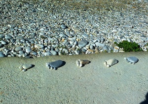 Seemeeu Desember 2020: Genade in 'n moeilike jaar