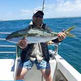 Xplorio™ Struisbaai - Awesome Charters - 28 December 2020