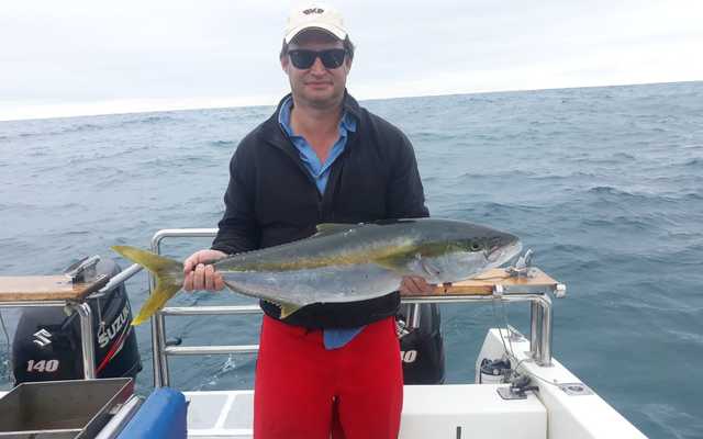 WhatsApp_Image_2021_01_05_at_10.25.37_3_1609913702