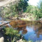 Relaxing Botrivier - Swaynekloof Farm - Xplorio™ Botrivier