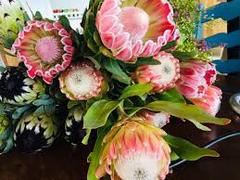 Say it with Flowers!