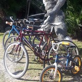 WhatsApp_Image_2021_01_14_at_11.57.44_1610621650