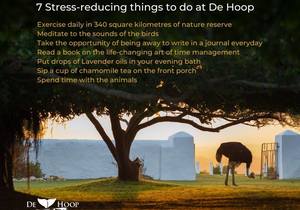 7 Stress-reducing things to do at De Hoop