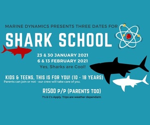 Shark School (23 & 30 January 2021 + 6 & 13 February 2021)