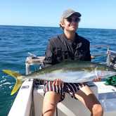 Yellowtail Fish - Awesome Charters - Xplorio™ Agulhas/Struisbaai