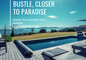 Bookings.com Traveller Review Awards 2021: 9.9/10