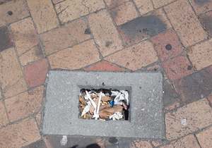 Reduce, Reuse, Recycle your waste in 2021