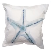 Cushion starfish