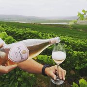 Reserve your favorite MCC today!