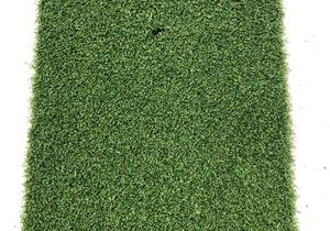 New Gym Building Update - 01 February 2021